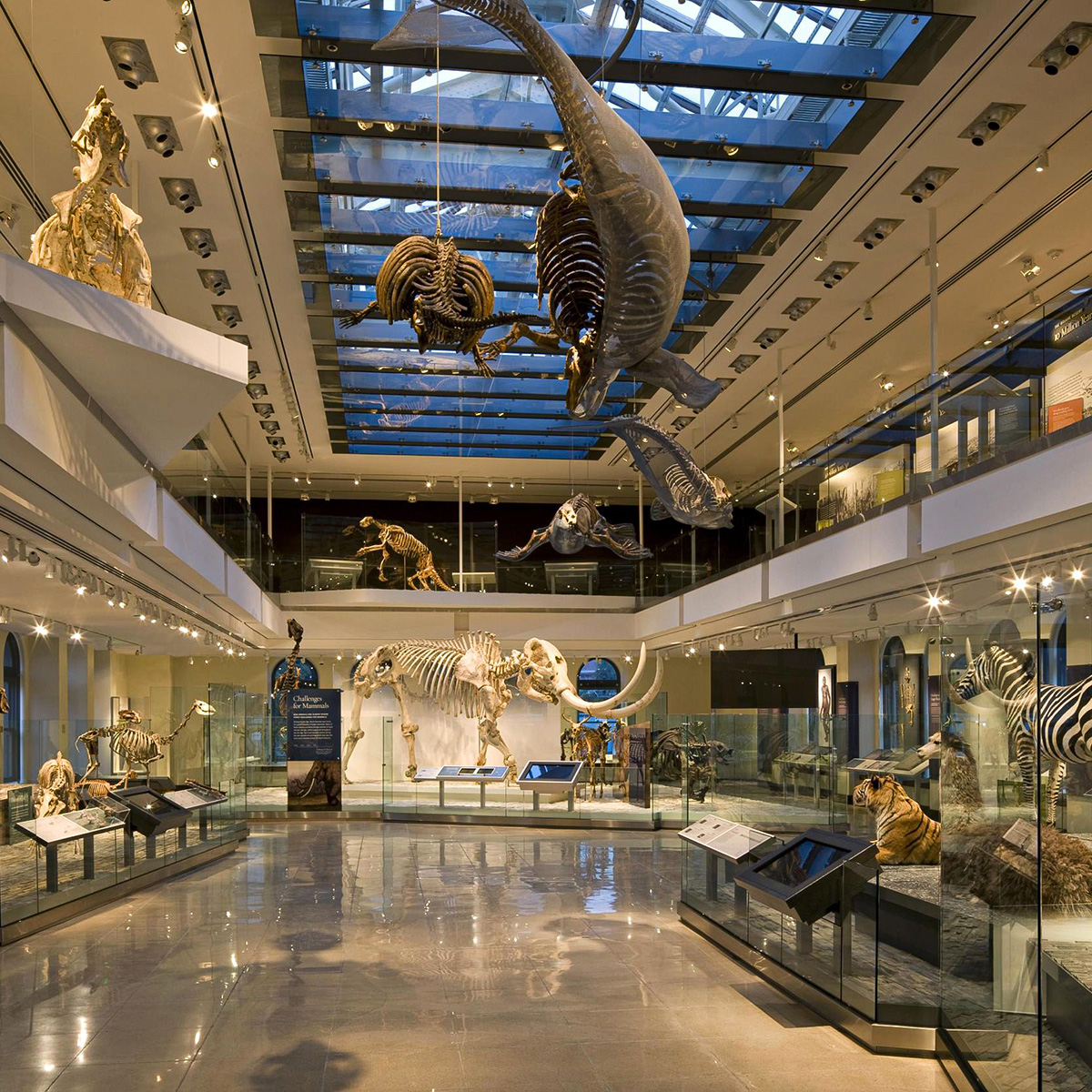 Best Museums In Los Angeles That Are Worth Your Time