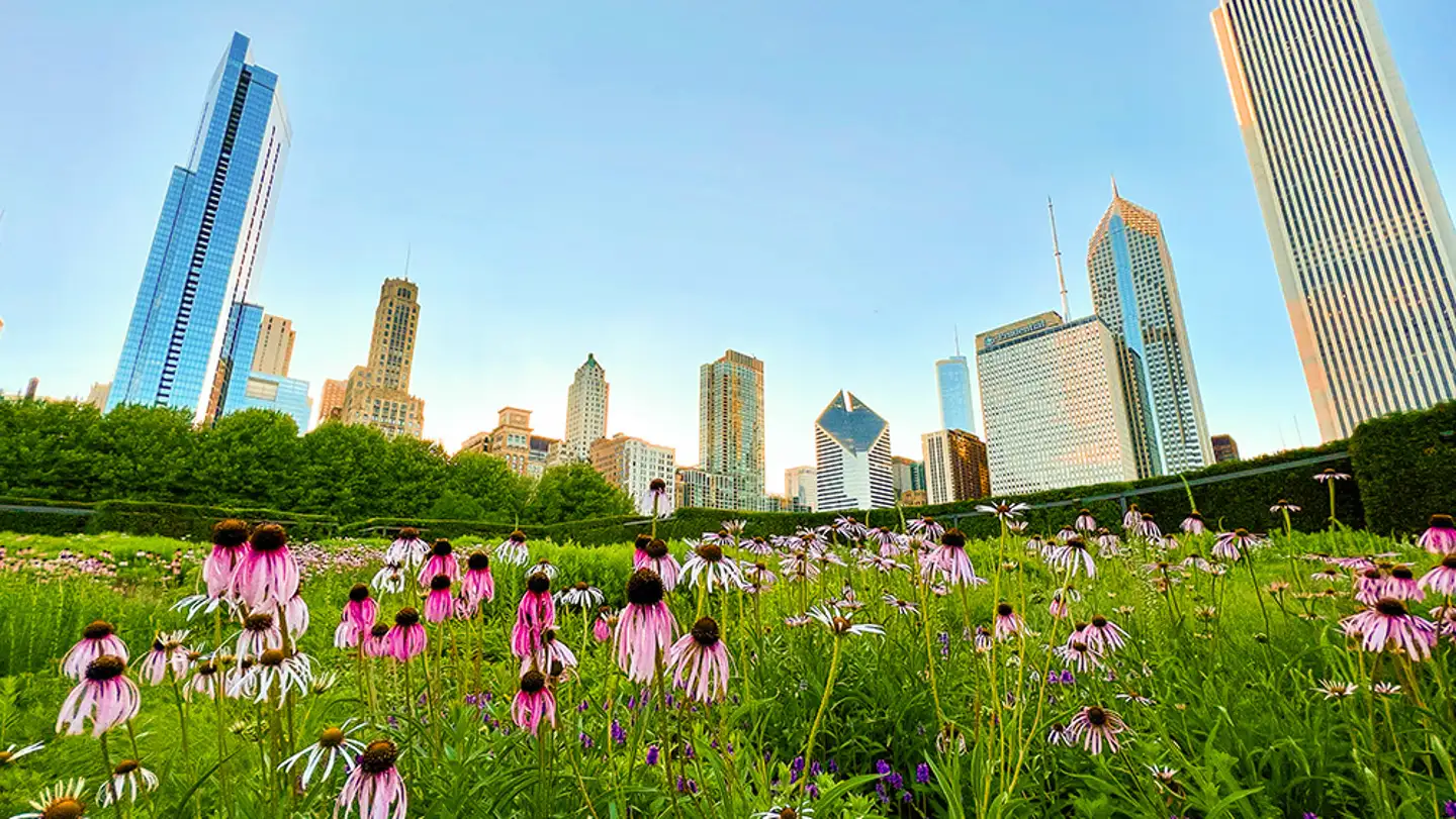Chicago en primavera: Cómo aprovechar al máximo tu visita