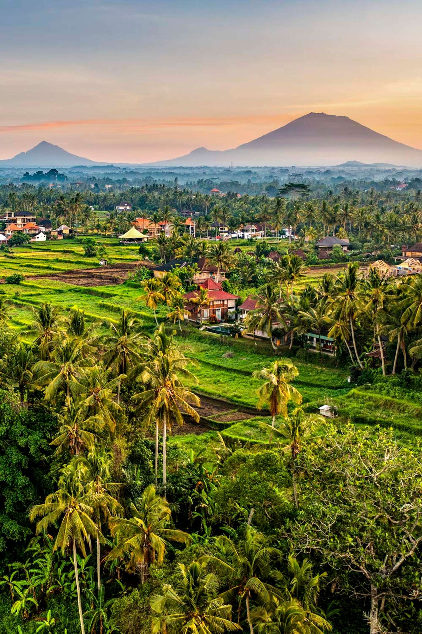 11 riktigt roliga saker att göra i Ubud