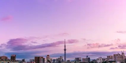 The ultimate guide to visiting Tokyo in June