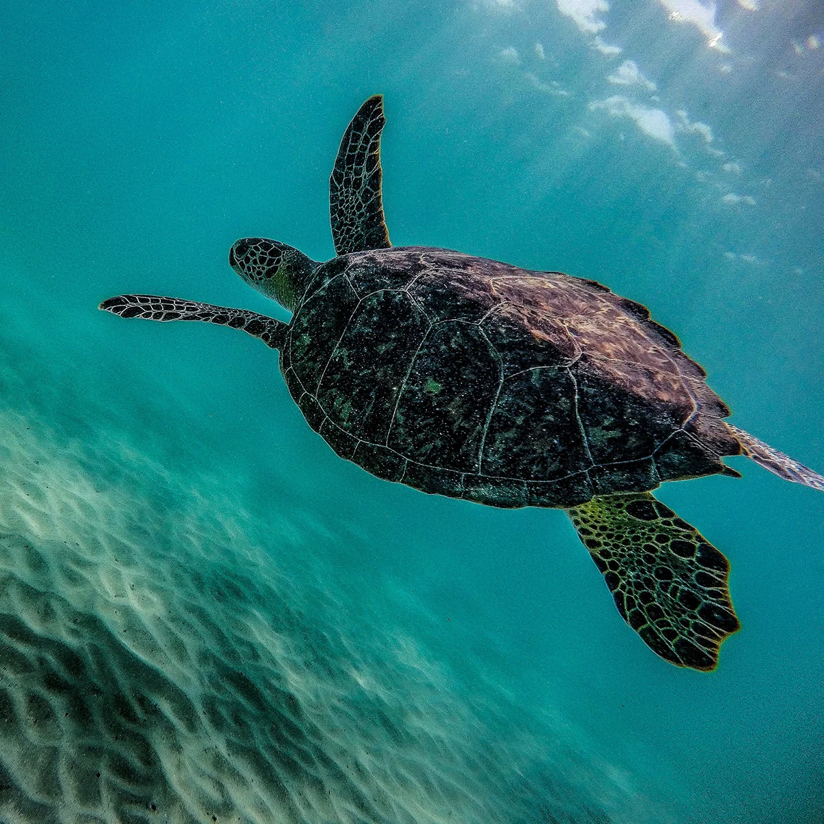 20-fun-and-unique-things-to-do-in-miami
