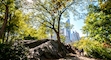 10 best places to visit in New York City