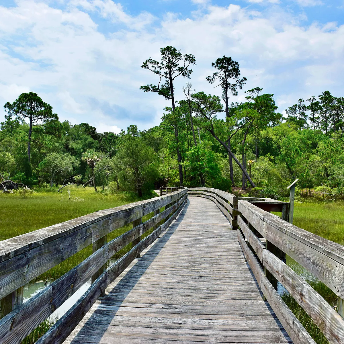 Charleston For Couples: The Most Romantic Things To Do