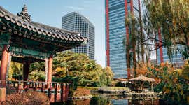 Best neighborhoods in Seoul to get a feel for the city