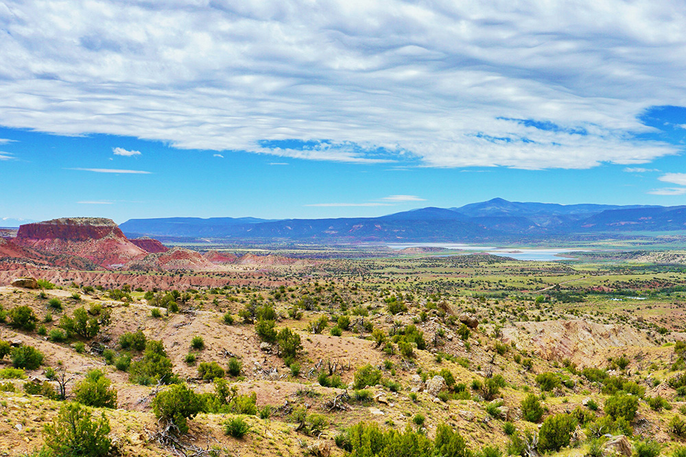 New Mexico landscape with hemp fields