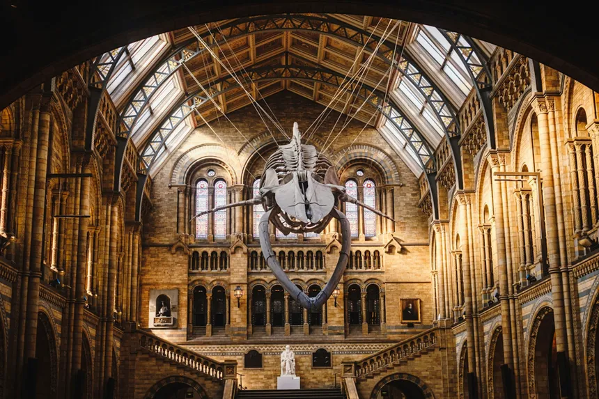 Cultural Venues: The Best Museums to Visit in London - Introduction