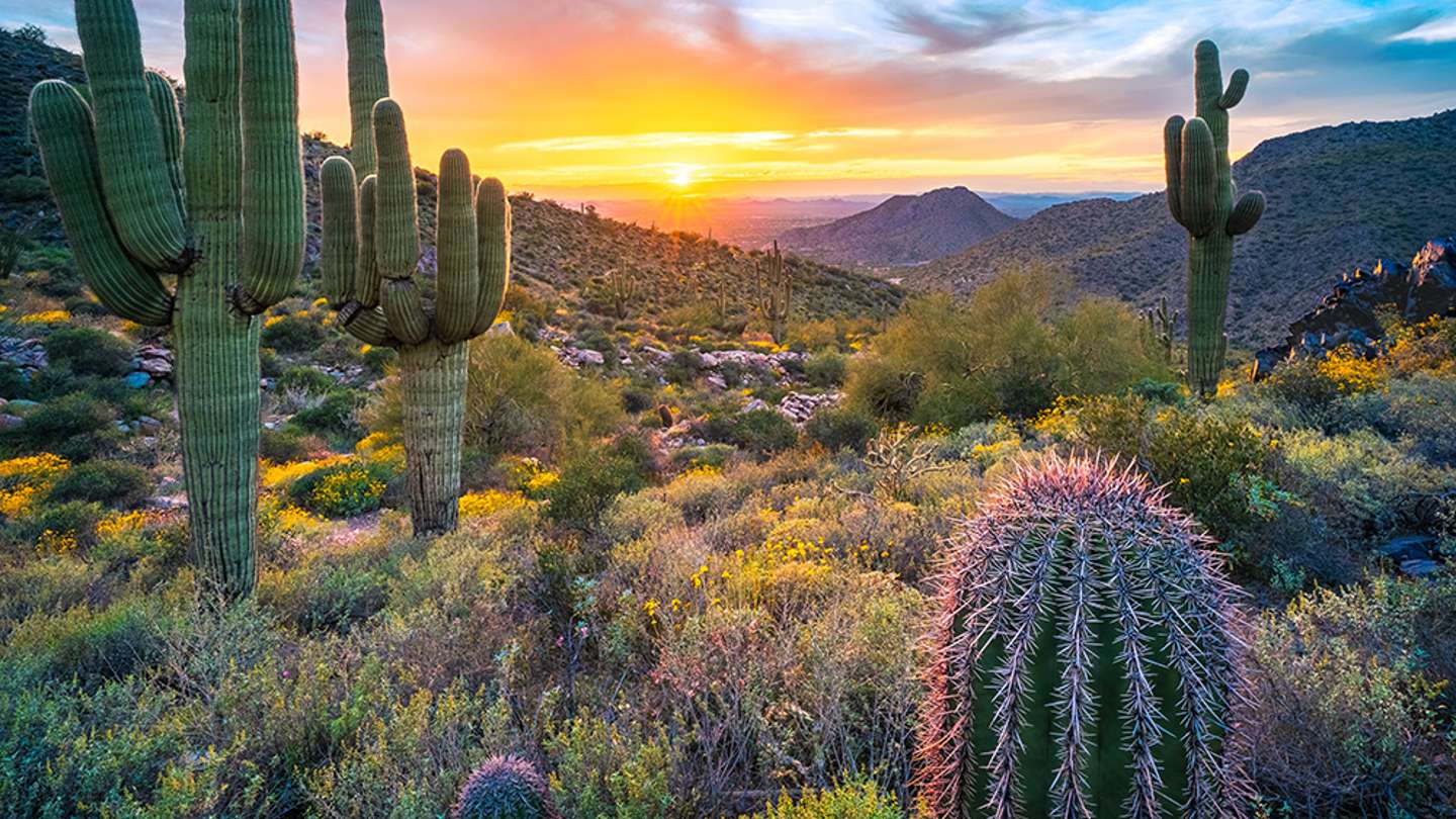 9 Ways to Enjoy Spring in Arizona