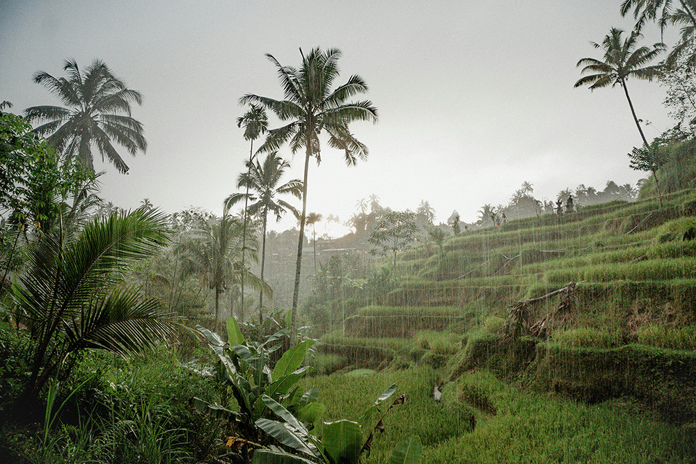 8 things to do in Ubud when it rains