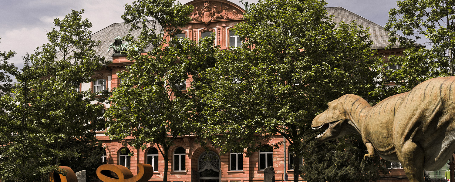 8 de los mejores museos de Fráncfort y qué ver en ellos