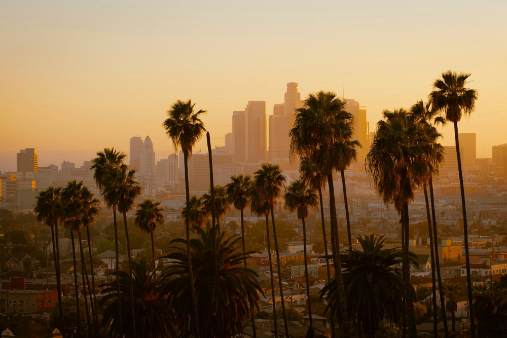 Things to do alone in Los Angeles: Solo traveler activities