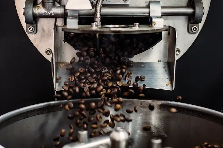 Wake up your taste buds with a coffee-tasting