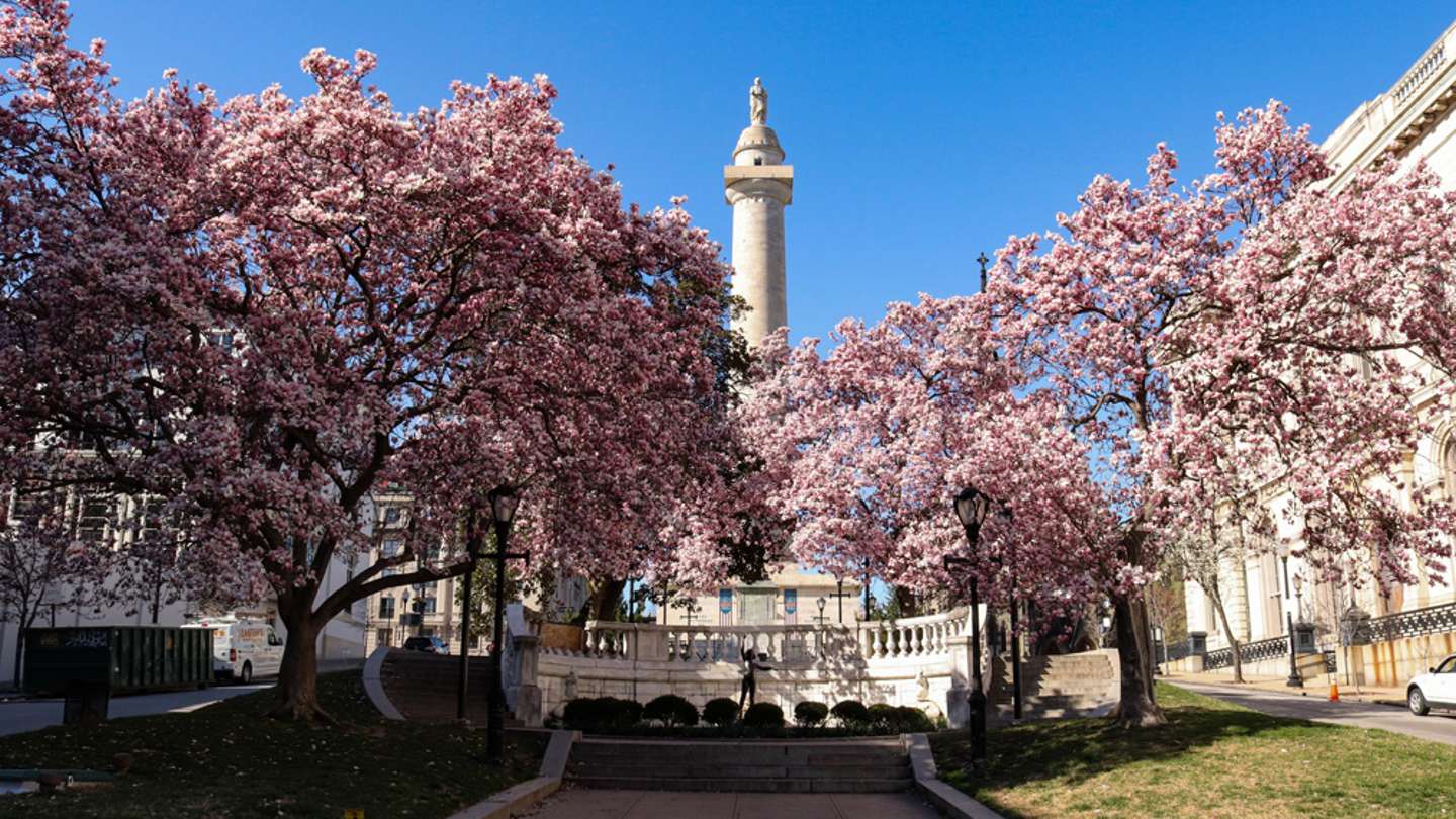 Spring In Maryland 8 Top Things To Do And See spring-in-maryland-8-top-things-to-do-and-see