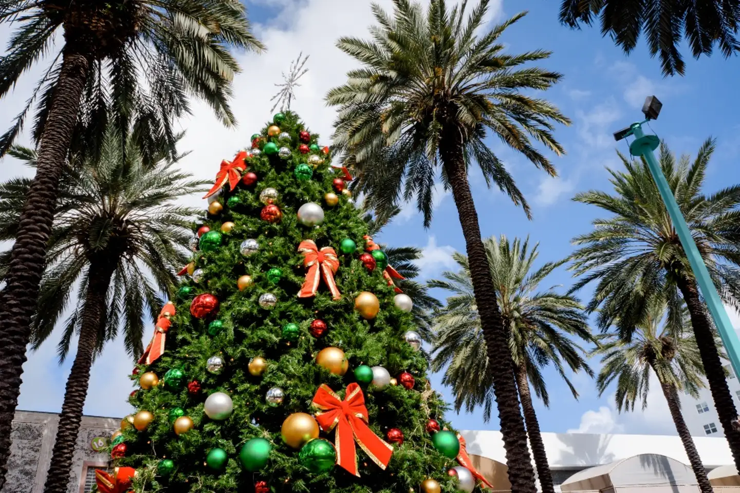 7 Ways To Enjoy A Festive Christmas In Miami - GetYourGuide