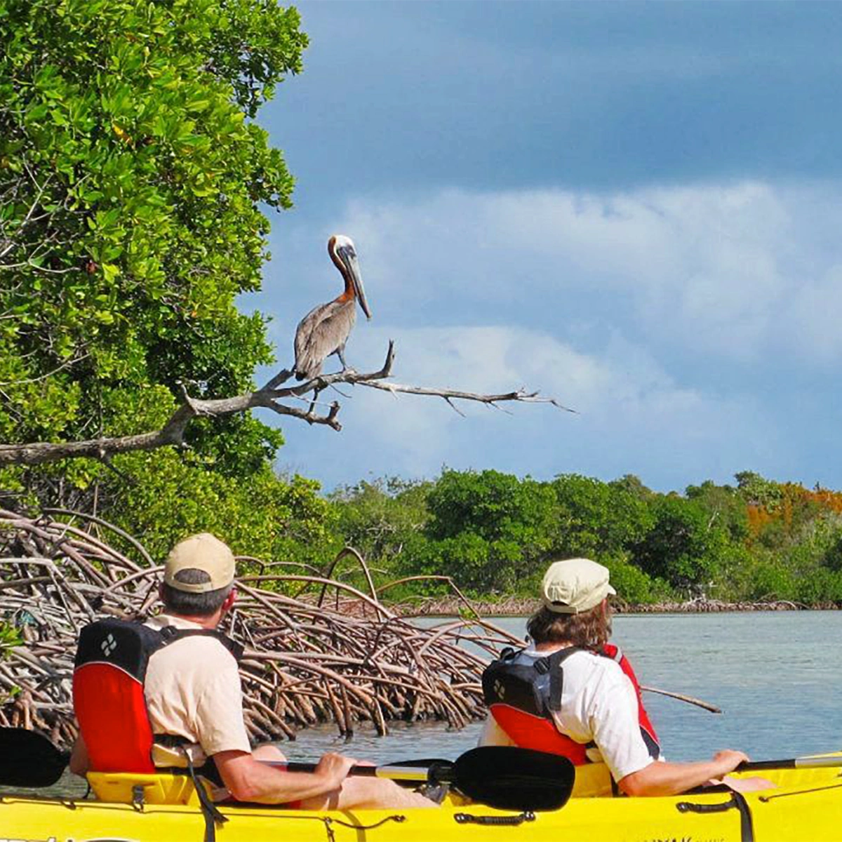 Best places to visit in Miami: top attractions you don't want to miss