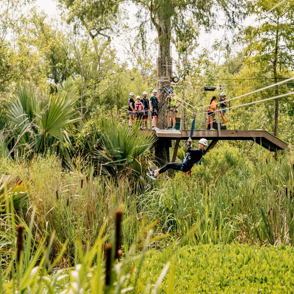 New Orleans in summer: best things to do and see