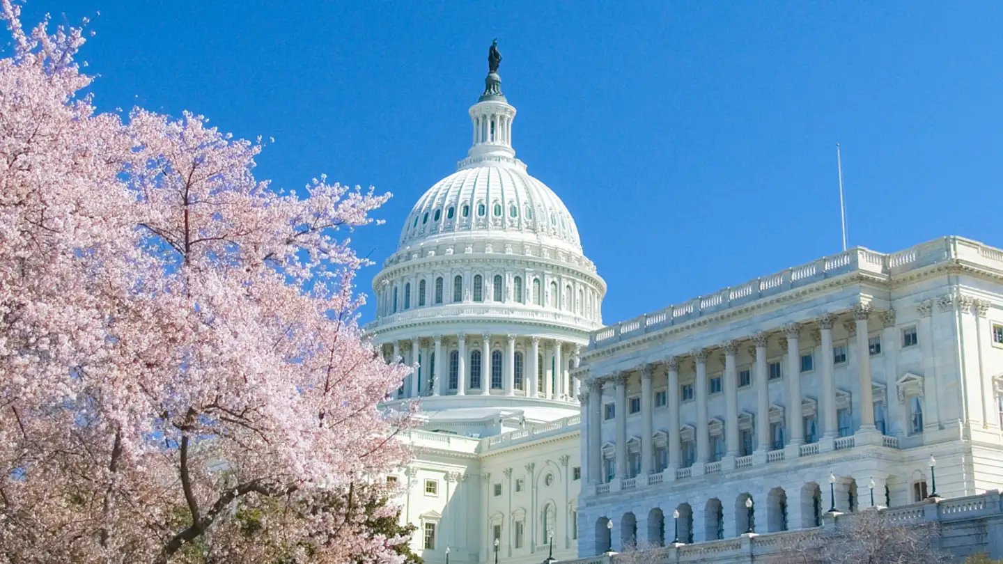 Washington in summer: How to make the most of your visit