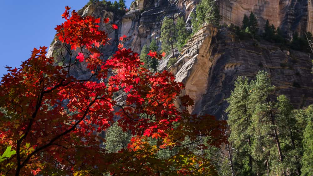 November In Arizona Fall in Arizona: What To See and Do