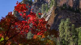 Your guide to fall in Arizona: 9 seasonal experiences