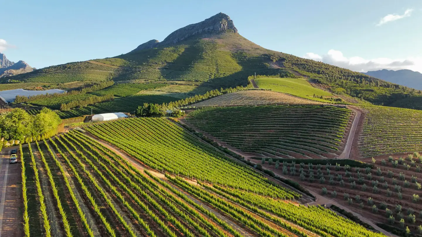 Degustação de vinhos na África do Sul: 5 melhores destinos