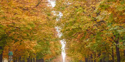 The ultimate guide to visiting Vienna in October