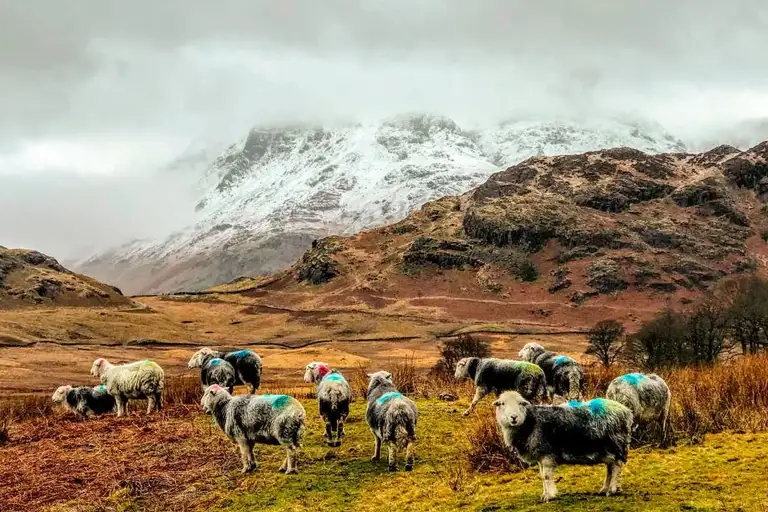Visit the Lake District