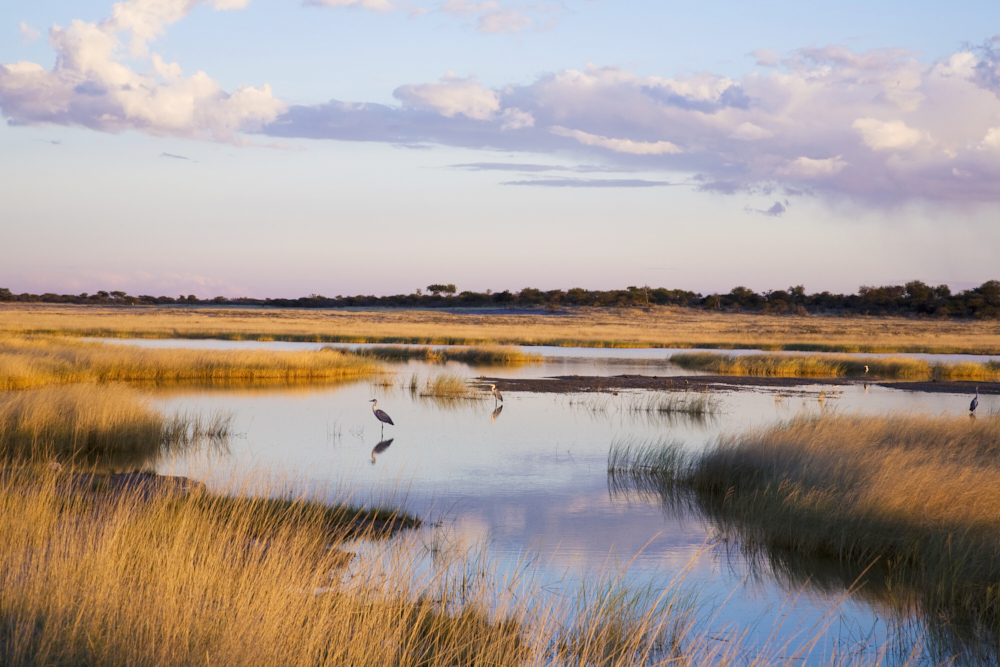 Namibia Travel Guide | Insider tips, hidden gems, itineraries and more