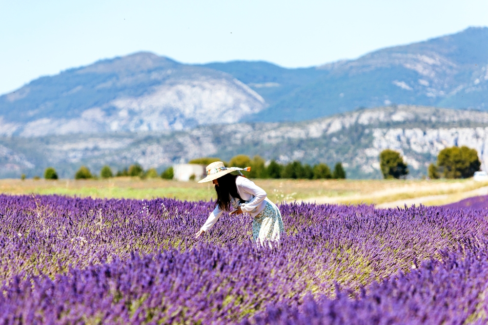 8 Bucket List Things to Do in France: Create Your Itinerary