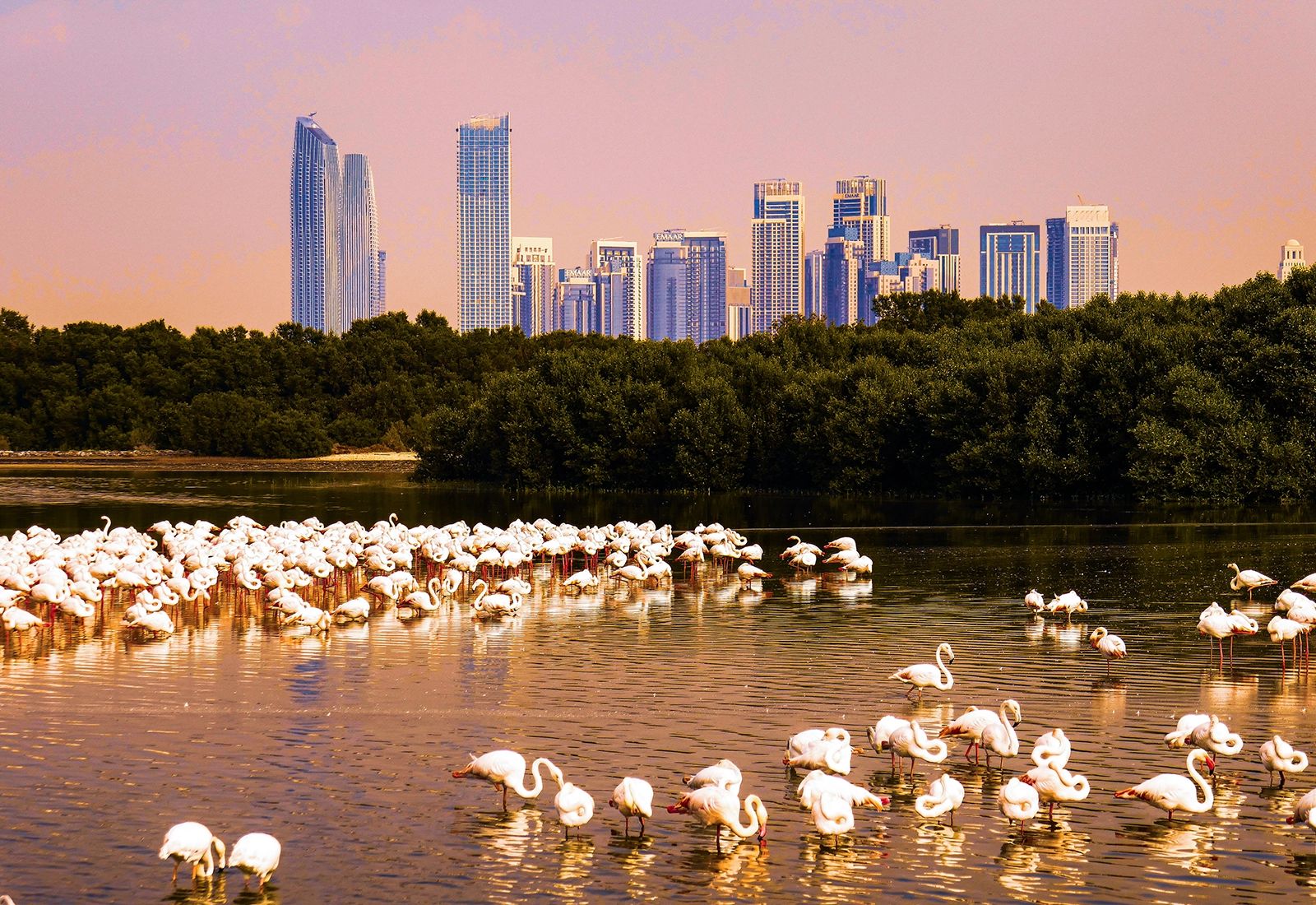 Dubai Travel Guide Insider Tips Hidden Gems Itineraries And More dubai-travel-guide-insider-tips-hidden-gems-itineraries-and-more