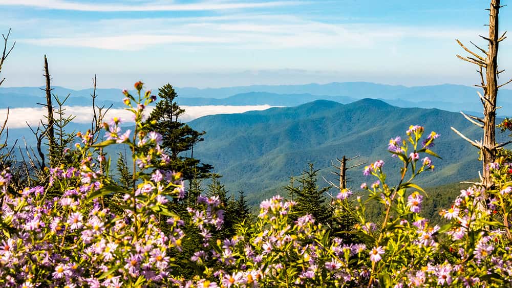 8 Epic Things To Do During Spring In Tennessee