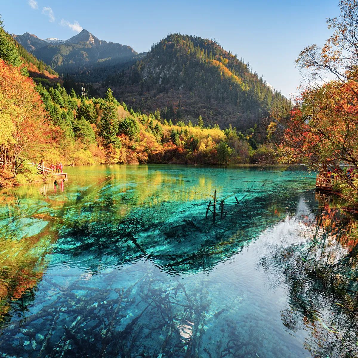 12 best places to see fall foliage around the world
