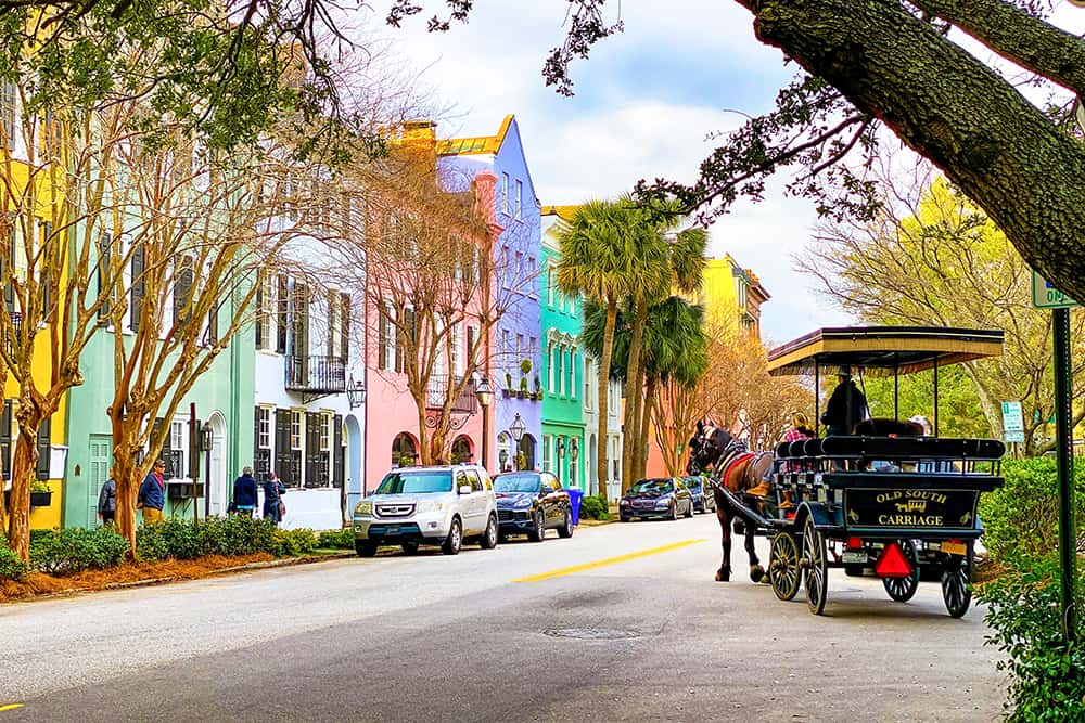 Early Spring Sc Spring in South Carolina: The Best Things To Do and See