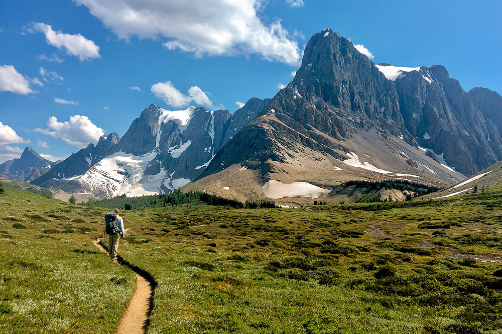 Jasper visual data 8