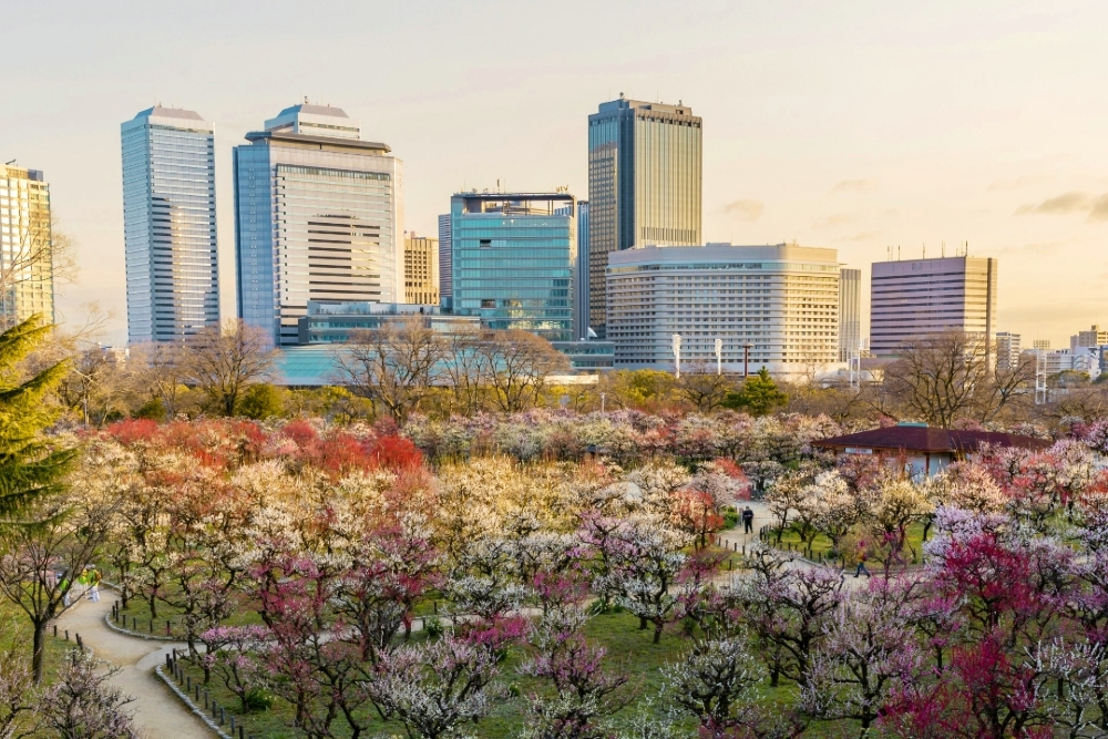 8 meilleurs endroits à visiter à Osaka à ne pas manquer