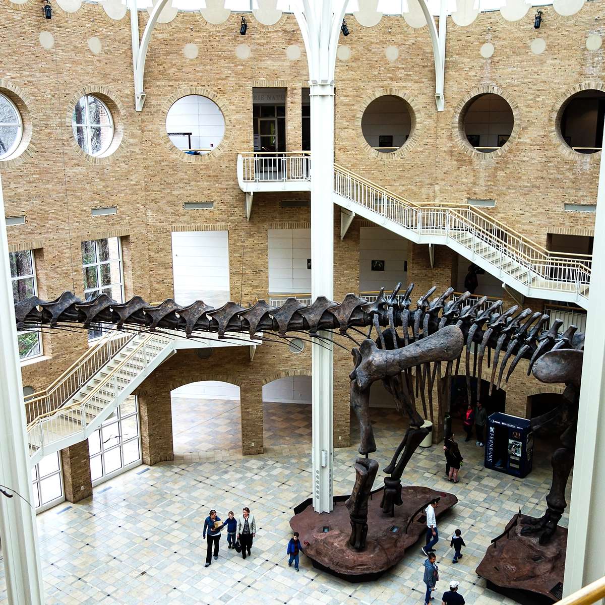 アトランタで訪れたい美術館トップ10選