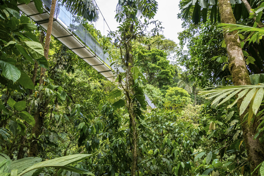 Hiking In Costa Rica: 6 Scenic Trails