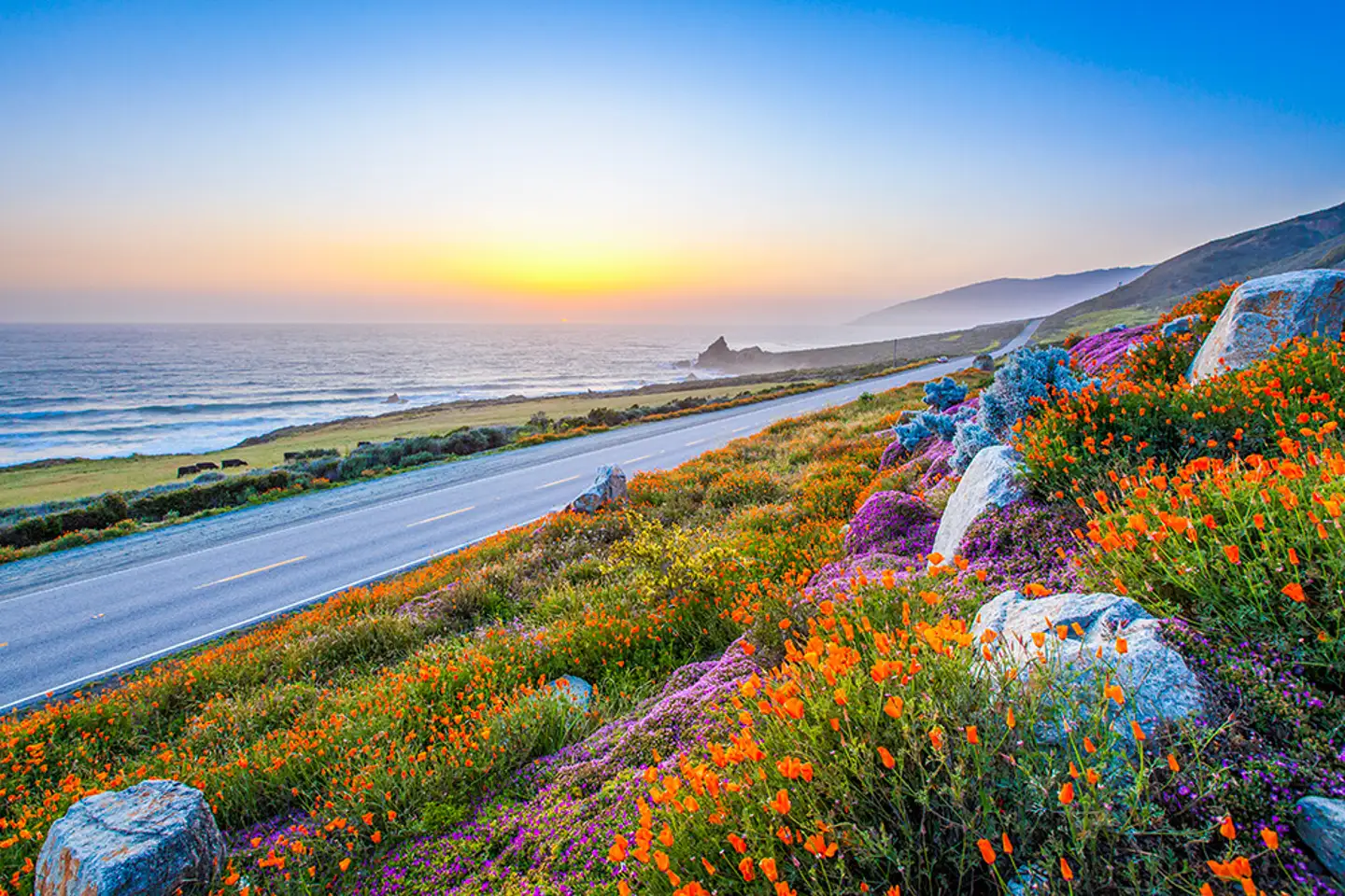 As melhores coisas para fazer nos EUA em abril: Principais eventos e  atividades, image size:1440x960