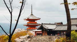 An all-season guide to the best time to visit Kyoto