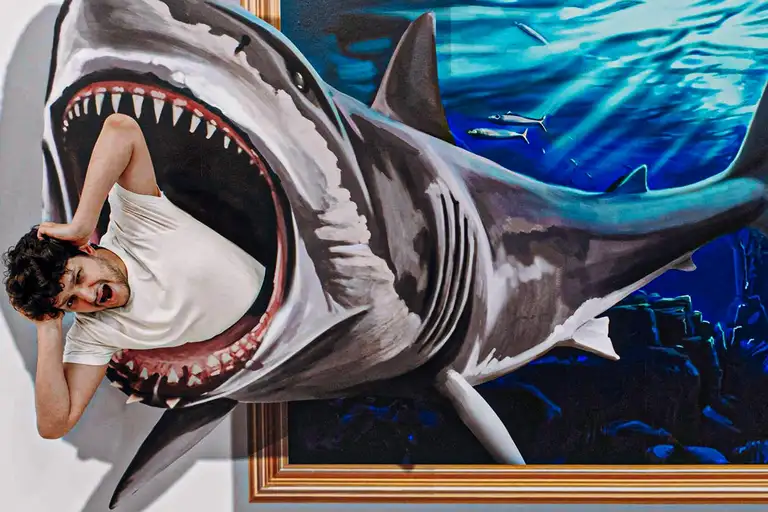 Enter a world of visual wonderlands and optical illusions
