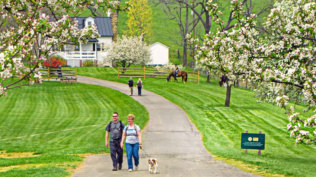 Spring in Virginia: 8 Top Things To Do and See