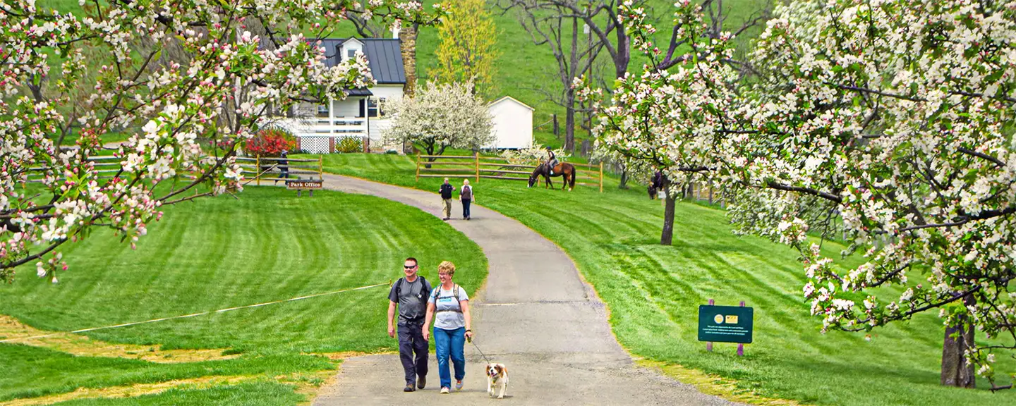 Spring in Virginia: 8 Top Things To Do and See