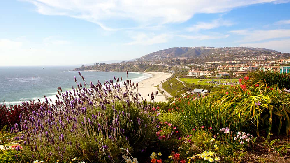 Spring Ca Spring in California: 10 Best Things To Do