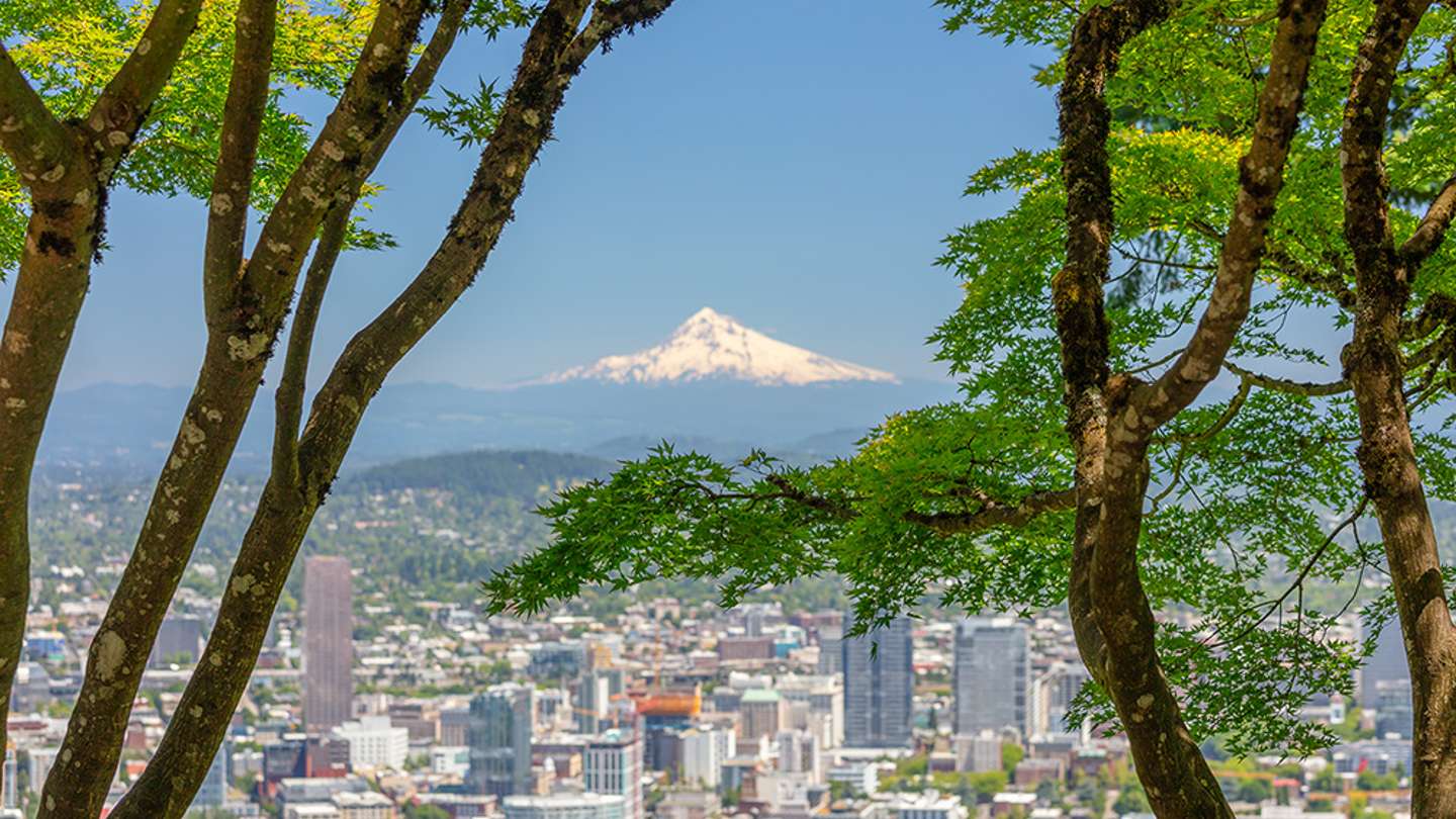 Portland, Oregon, in Spring: 8 Great Things to See and Do