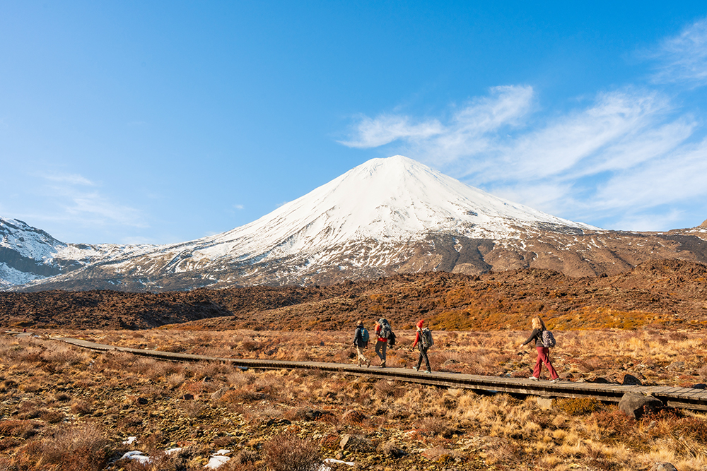 ニュージーランドで大人気！Hundreds&Thousands 10個セット iStock-1679463480-