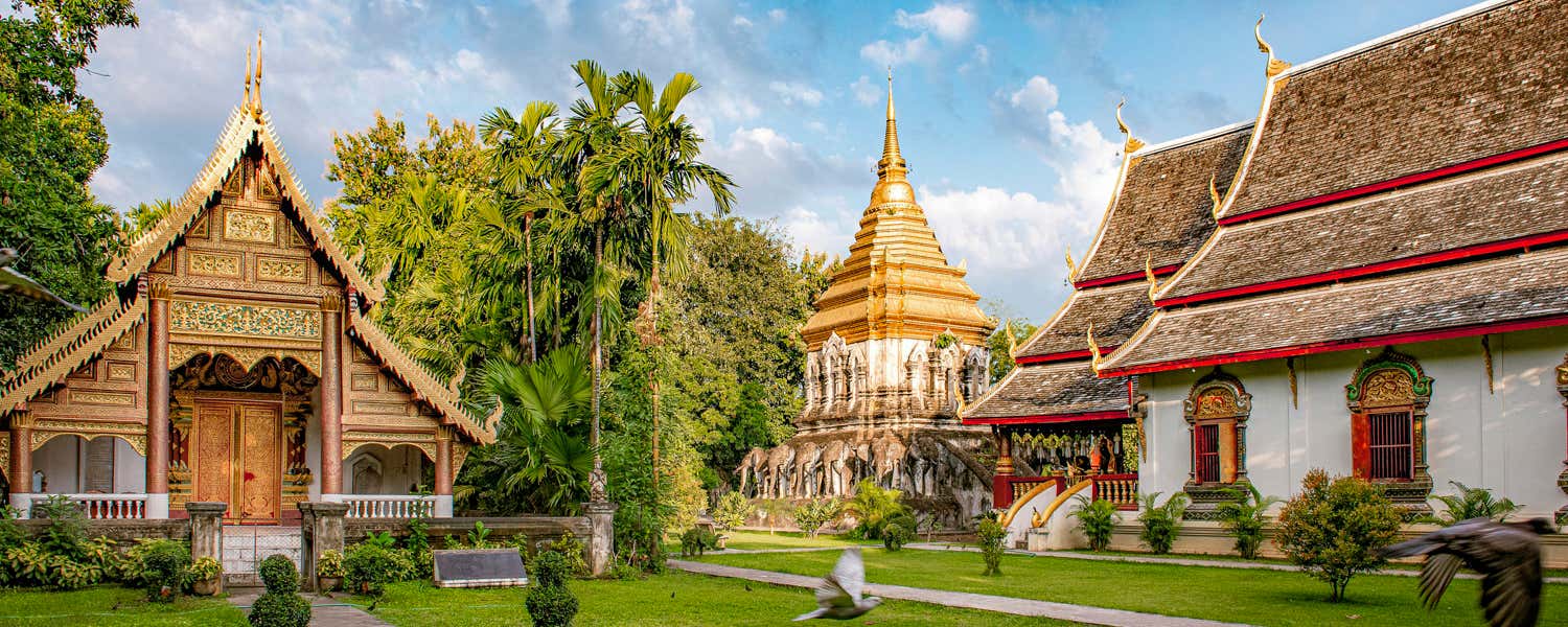 Um guia para todas as estações do ano sobre a melhor época para você visitar Chiang Mai