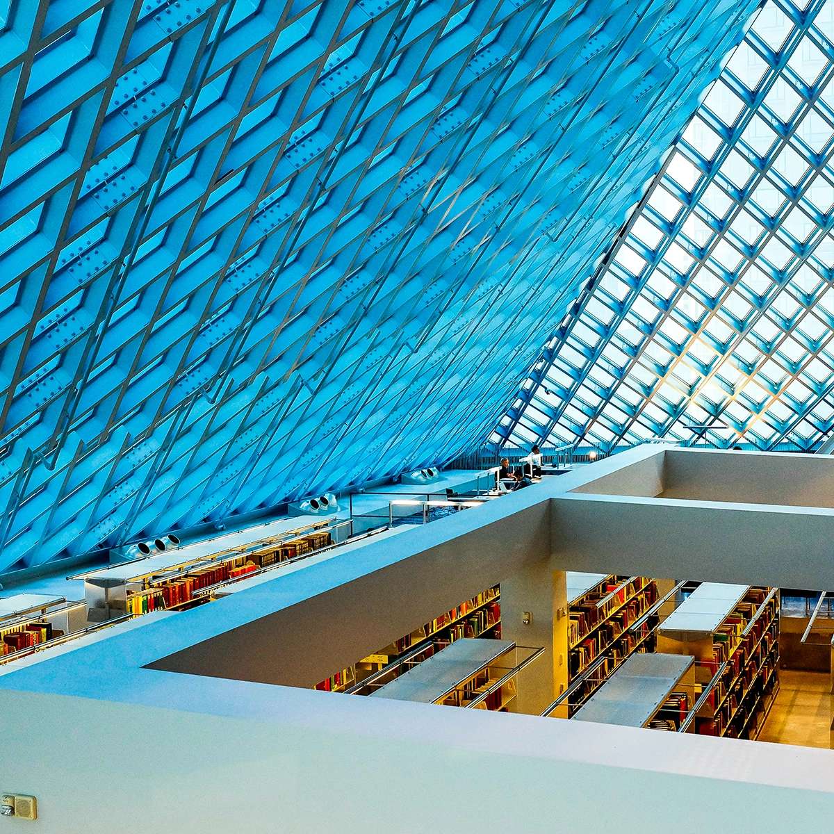 Libraries In Seattle Las 12 mejores cosas que hacer en Seattle con niños y adolescentes