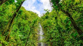 Tips for visiting Manoa Falls: Your questions answered