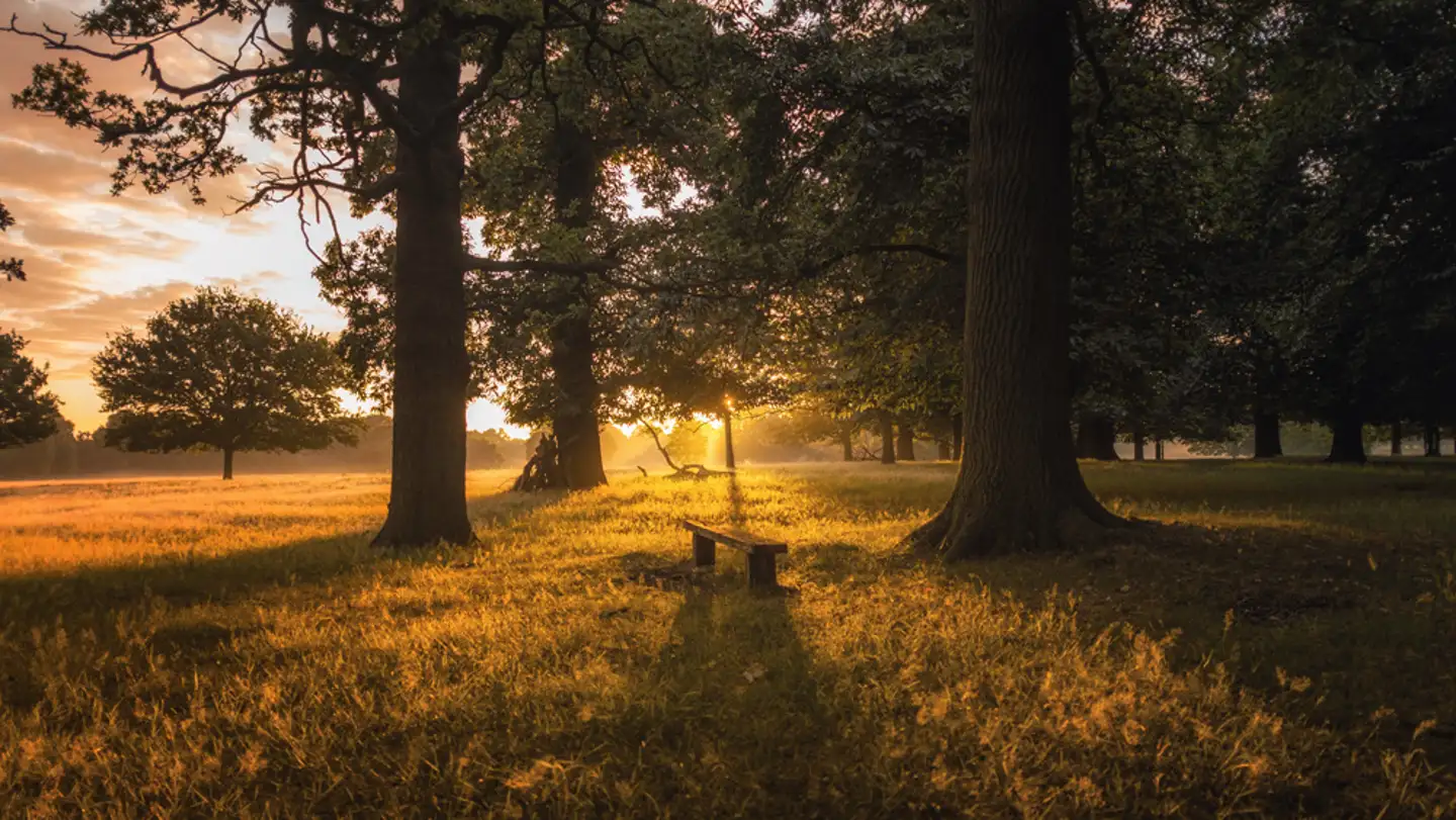 The best ways to spend fall in London