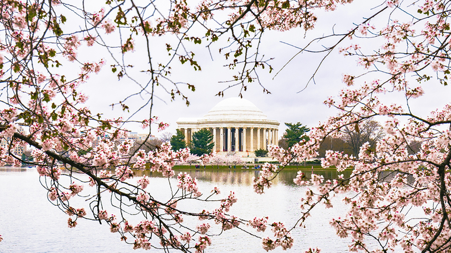 Washington in Spring: What To Do and See