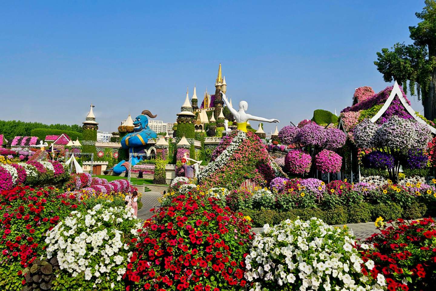 游览奇迹花园：常见问题解答指南