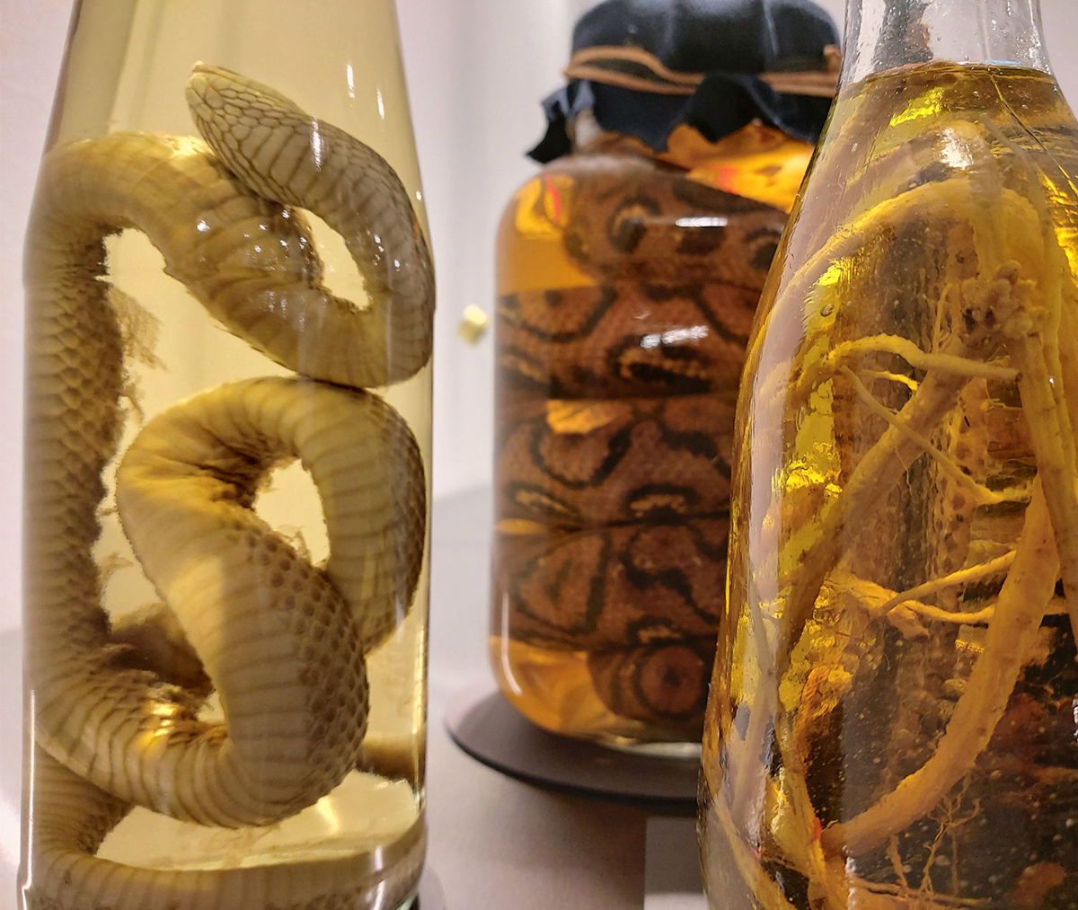 22 best museums in the world - A journey through history and art